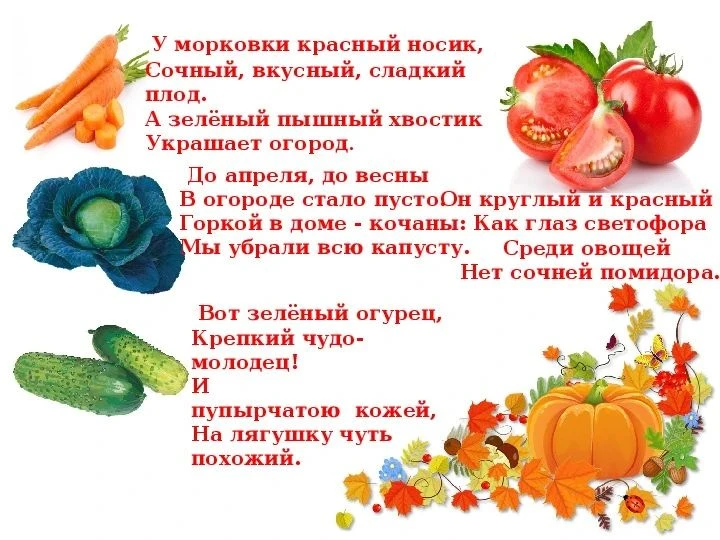 Занятие по рисованию в ст.гр. " Теремок"
