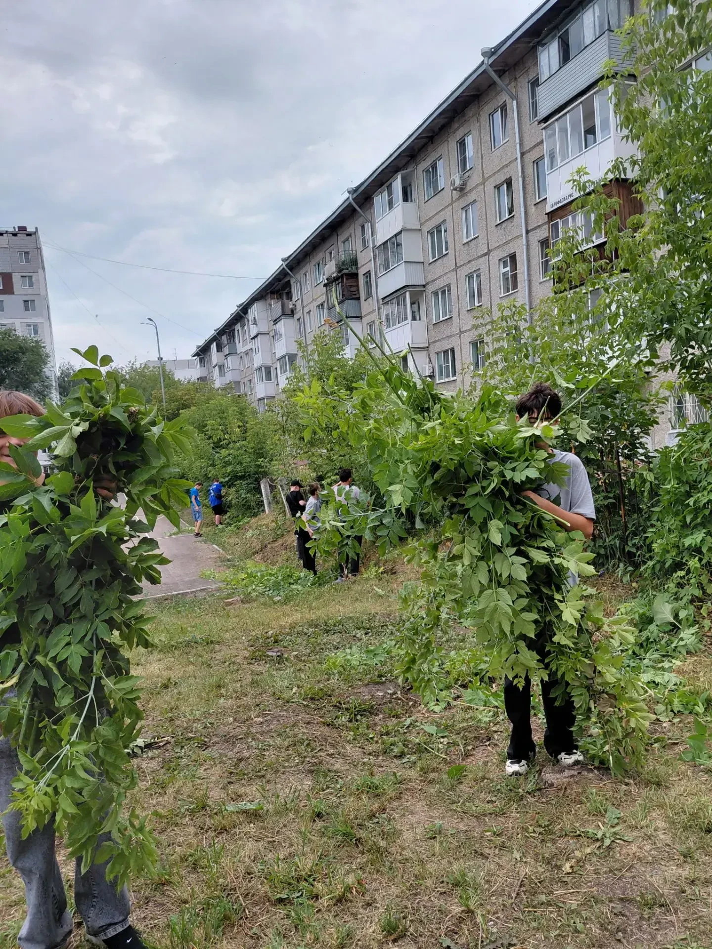 Чистота, которая радует глаз 🌿Знаете, что делает школьный двор по-настоящему родным? Не только стен