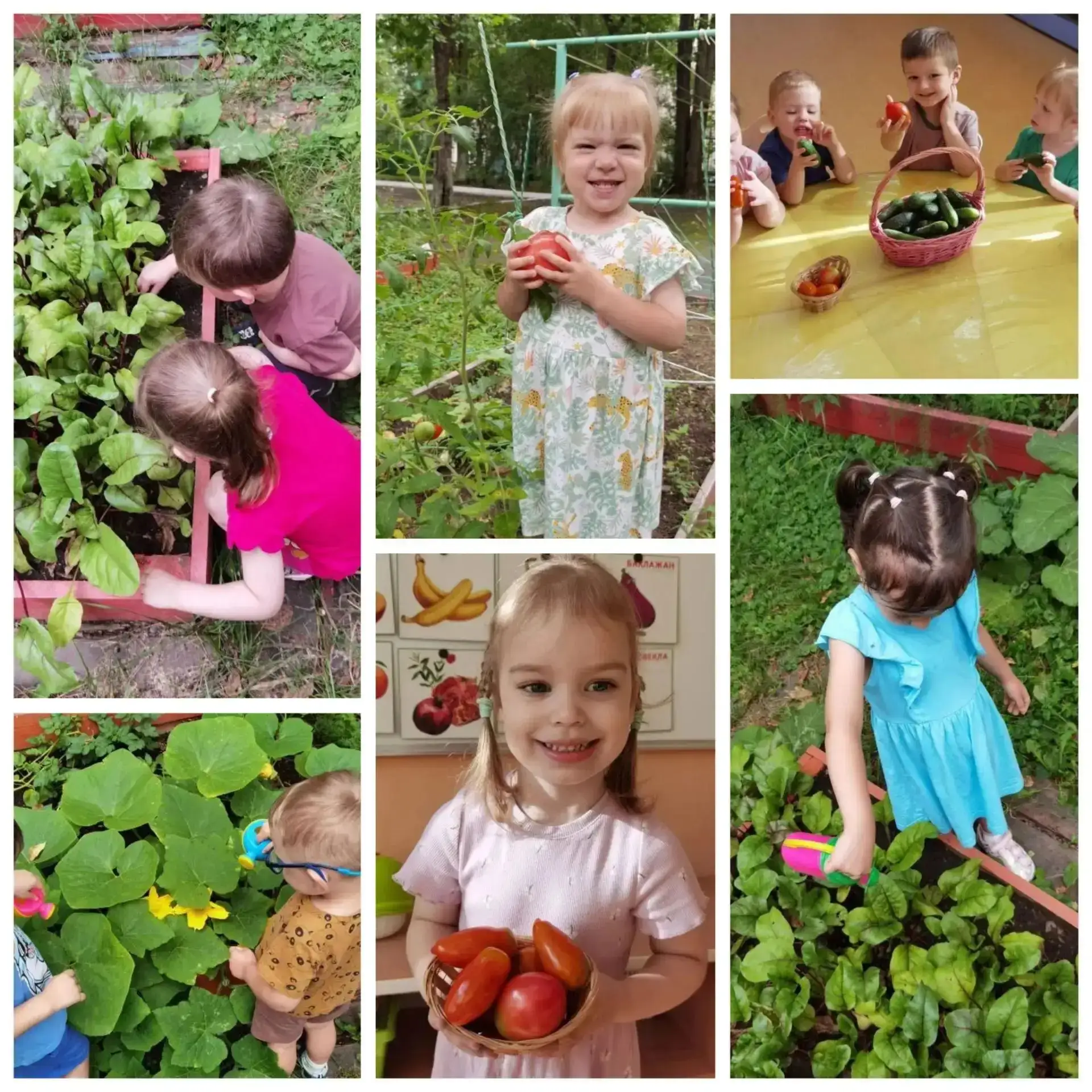 🌱 Огородное приключение группы №11! 🌱