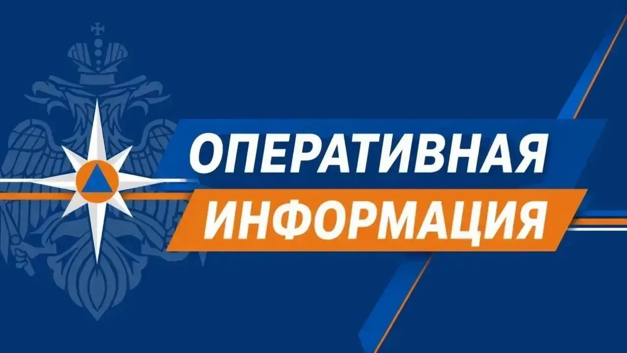 Землетрясение в цифрах 

Подземный толчок зарегистрирован 31 июля в 9:53 в акватории Тихого океана.
