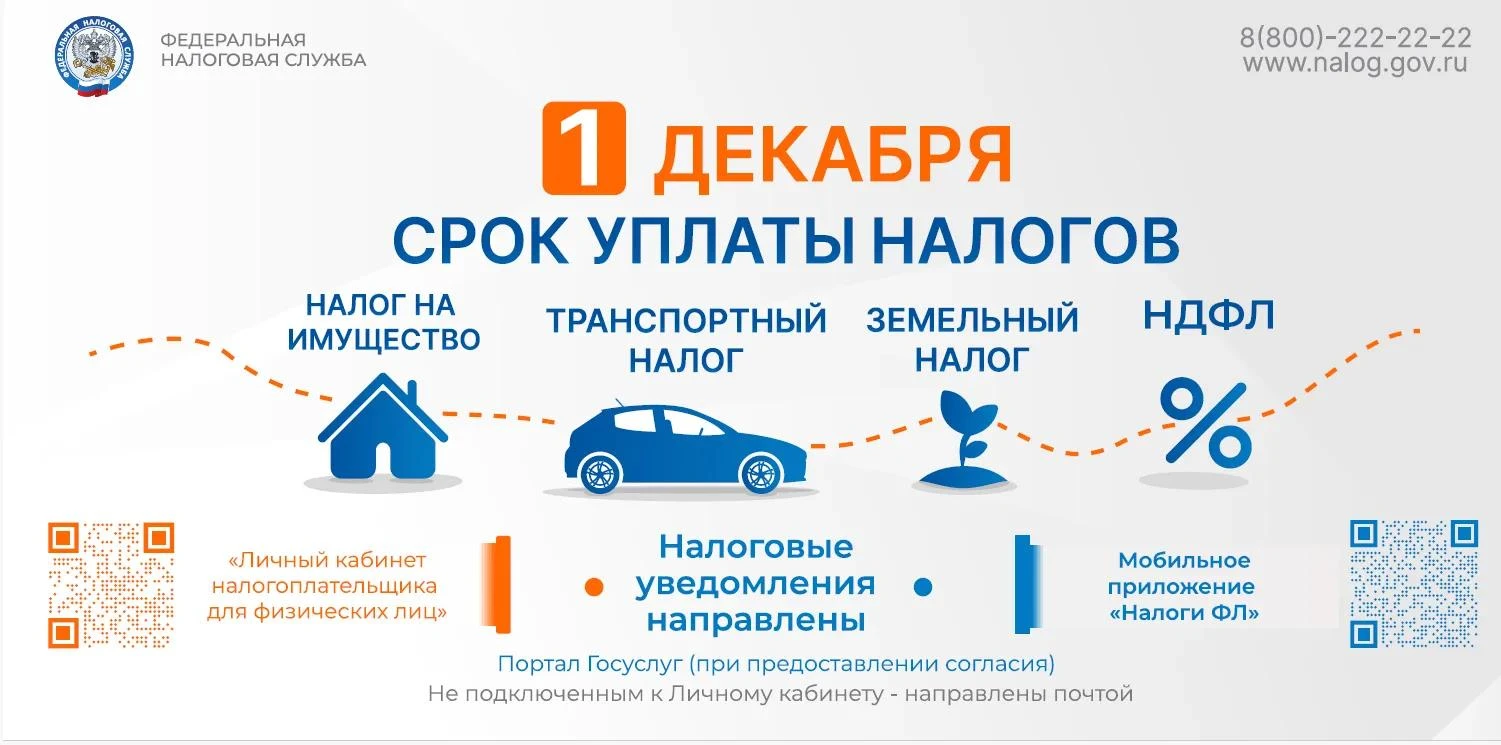 Федеральная налоговая служба напоминает: до 1 декабря 2026 года включительно необходимо...