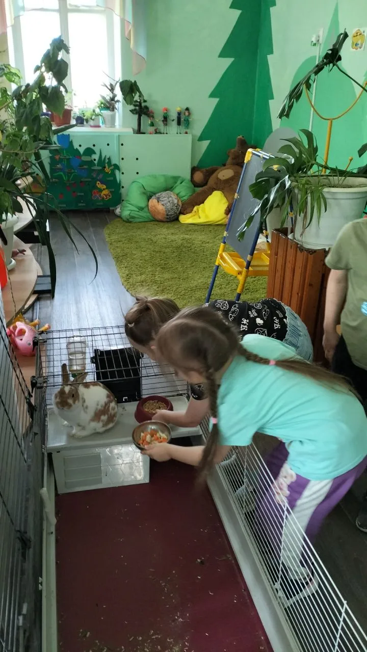 Подожди, мой кролик белый,