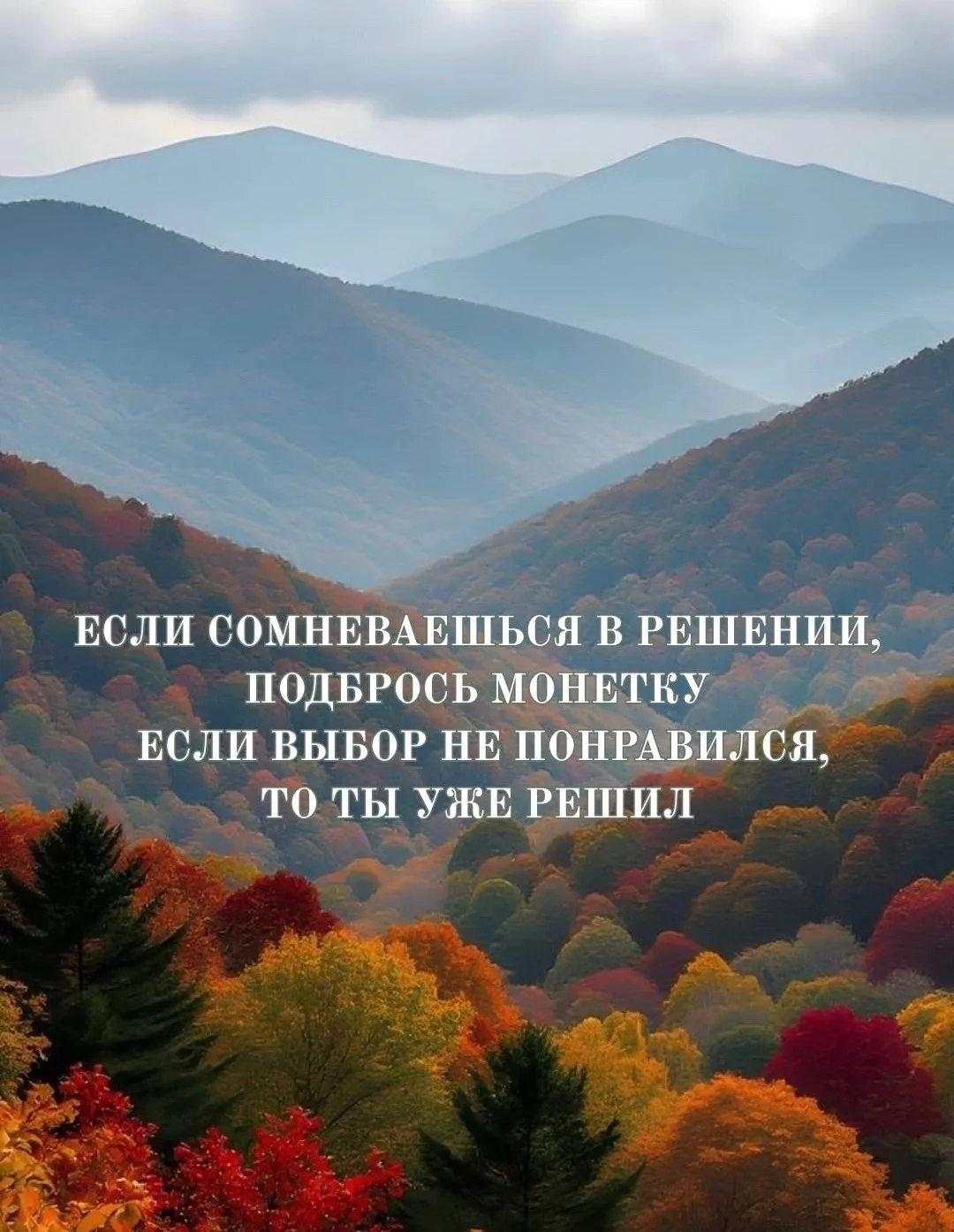 Мудрость слов | цитаты Мудрость слов | цитаты