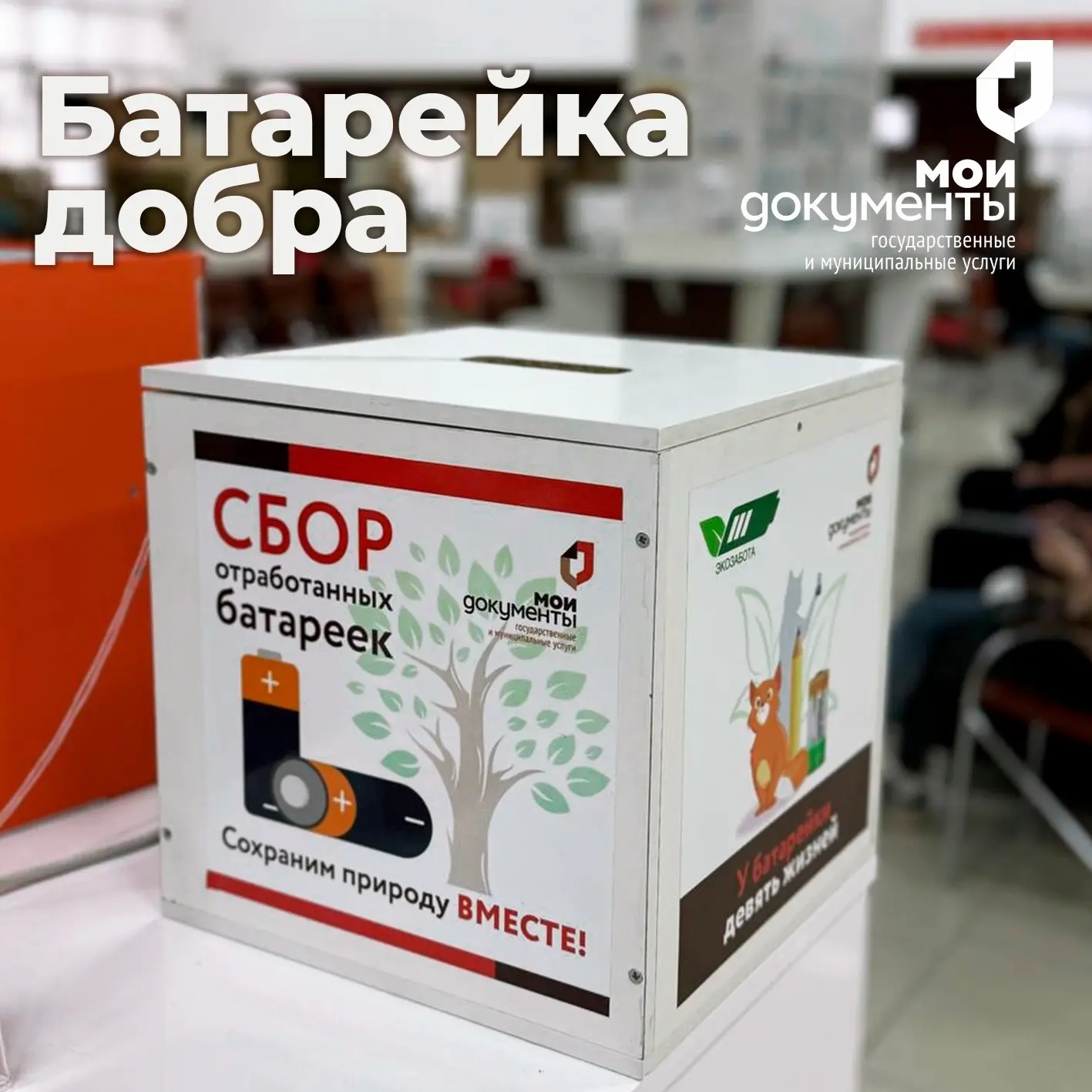 ✅ Сотрудники центров «Мои Документы» бережно относятся к природе и очень любят наш город