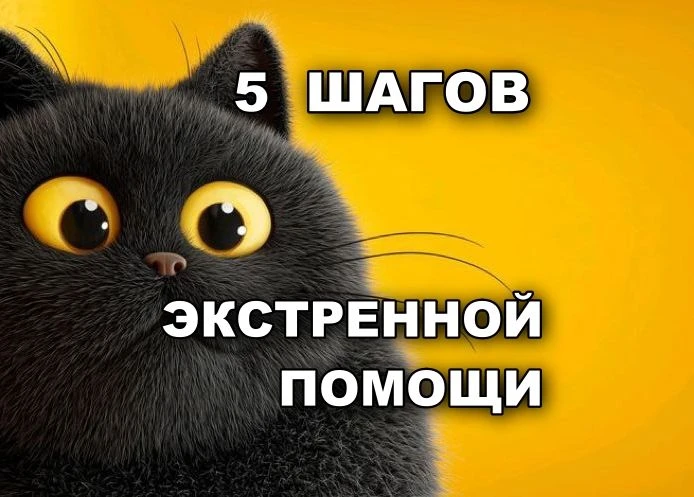 при панической атаке в самолете/метро/лифте