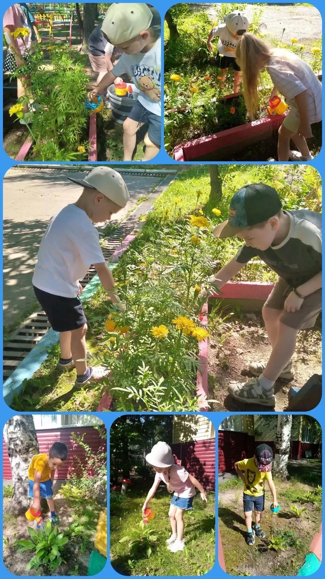 ☀️Сегодня в нашей старшей группе №3 настоящий "день садовода"! Ребята превратились в ма...