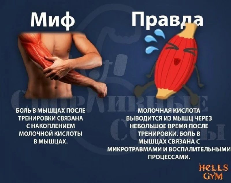Миф/правда🔸🔥  🎀 КАЧАЛКА для ЛЕДИ 🎀