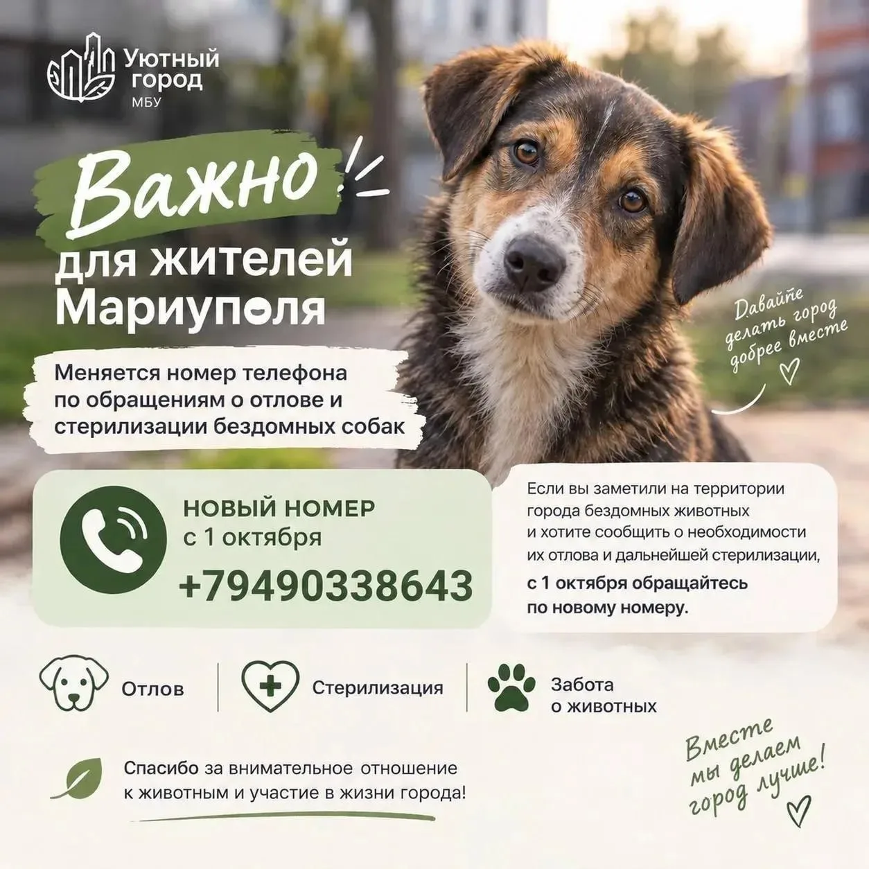 В Мариуполе изменится номер для заявок на отлов собак