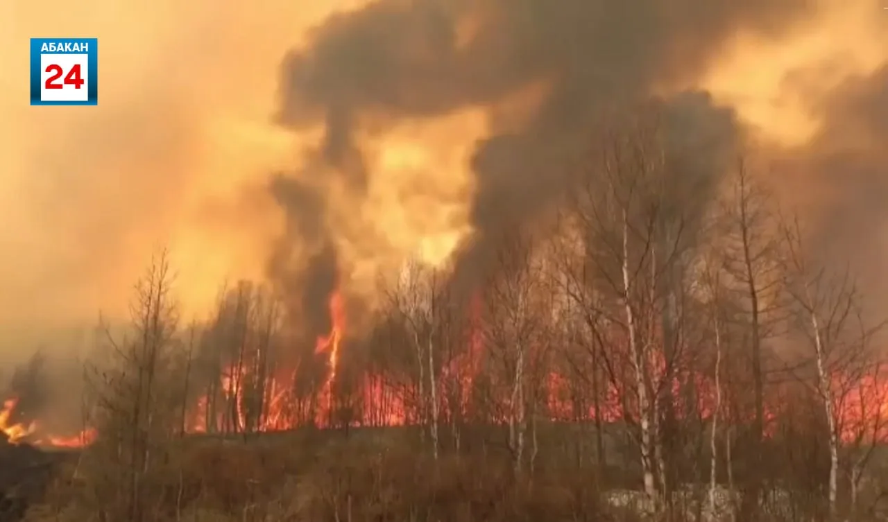 🔥Лесной пожар на 40 гектарах тушили в Саралинском лесничестве.  Локализовали его огнеборцы лишь к ве