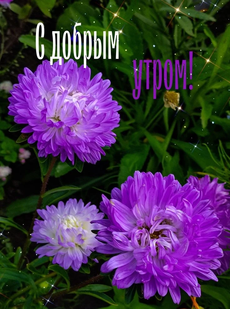 Доброе утро!💜