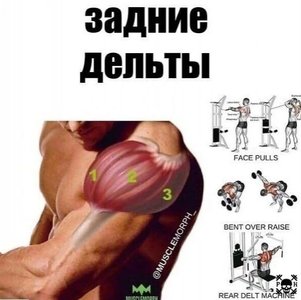 Подпишись на программы тренировок💪