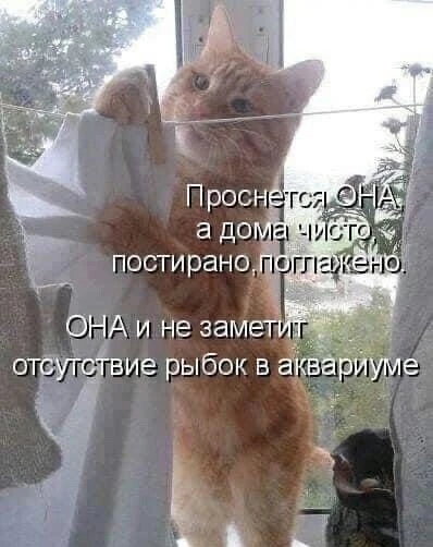 ПЯТНИЦА! УРА!!!