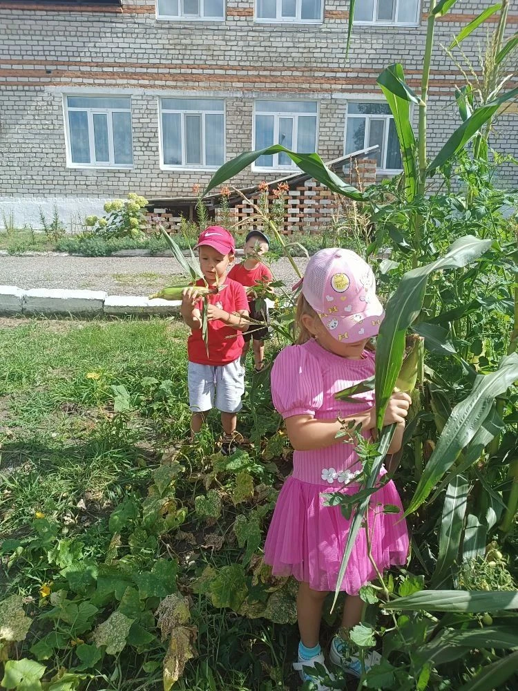 Наши маленькие агрономы собрали первый урожай! 🌽🍅