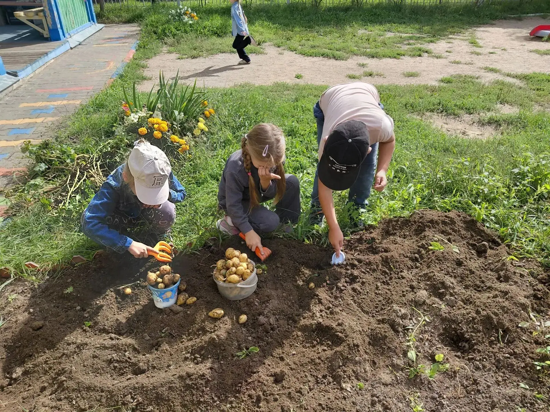 Осенний урожай группы «Улыбка»! 🥔🍂