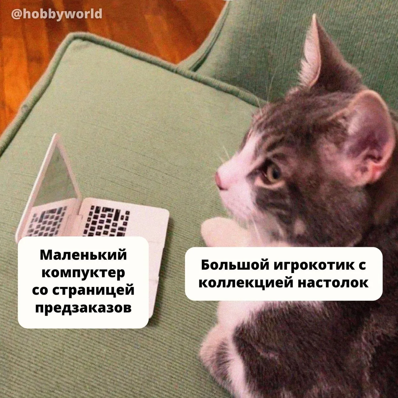 📦🐱 Охота за новыми коробочками начинается: показываем три игры, на которые теперь можно оформить п