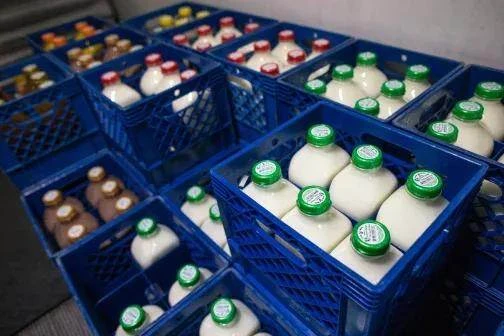 В январе-мае экспорт молочной продукции вырос на 19% и достиг $245 млн.

▪️ За пять месяцев 2026 год