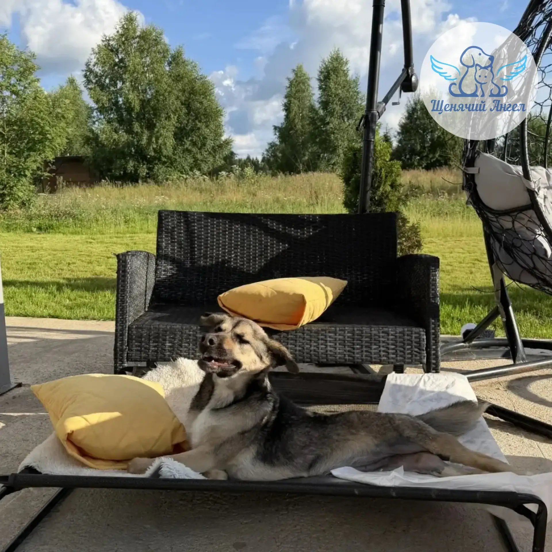 ВЕРОЧКА И ХАРДИ НА СОЛНЫШКЕ 🌞

Наша Верочка передаёт привет в компании своего лучшего друга Харди �
