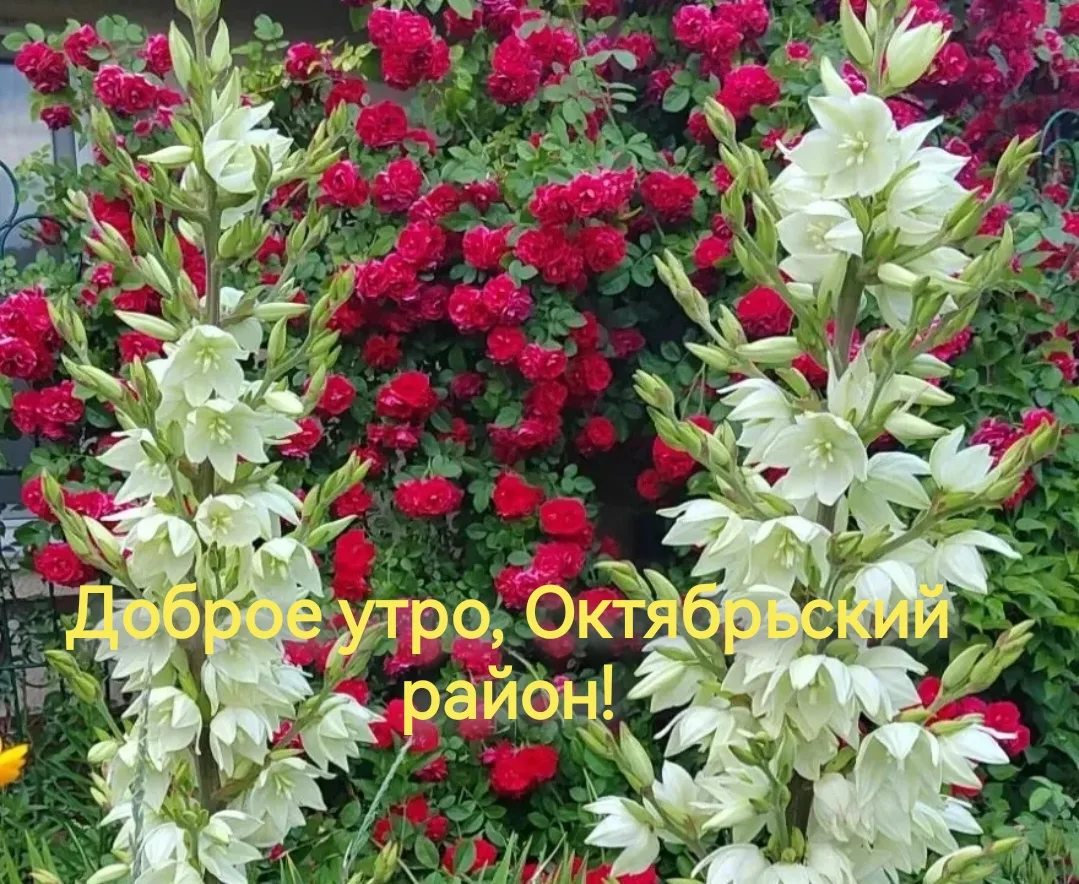 18 июня в Октябрьском  районе ожидается переменная облачность. Температура воздуха  днем +25...+28. 
