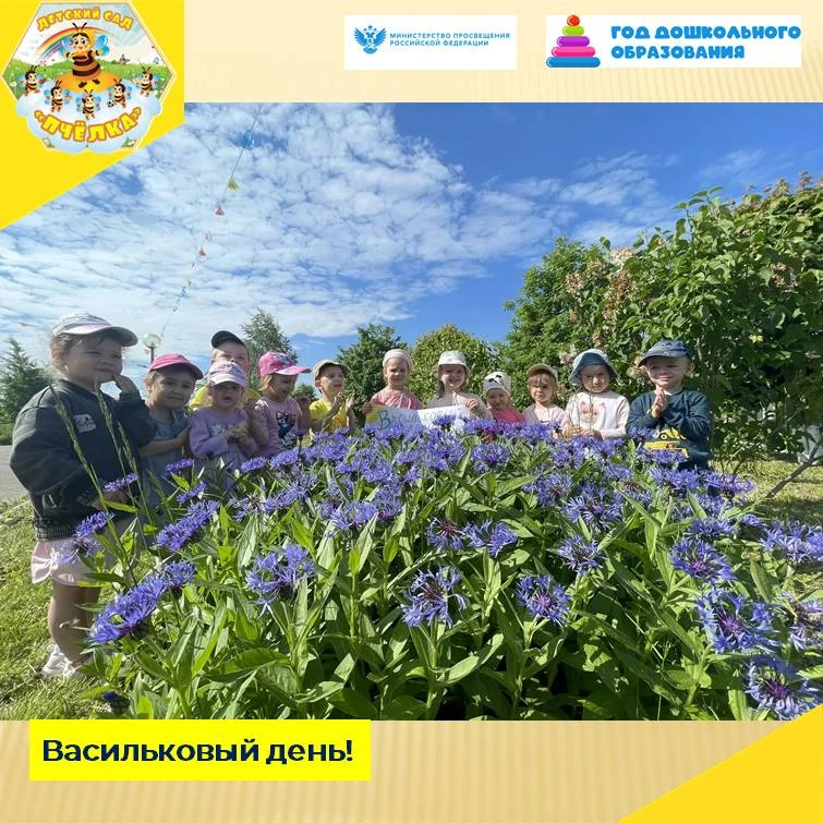 А вы знаете, что 4 июня отмечается Васильковый день?!