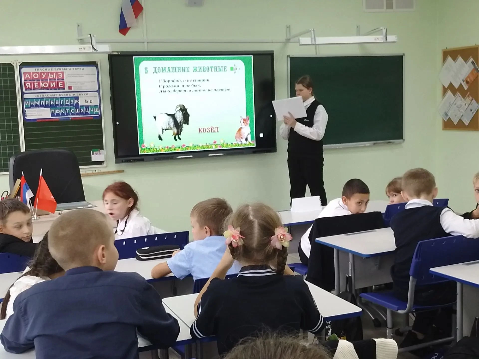 🦜Всемирный день защиты животных🐅