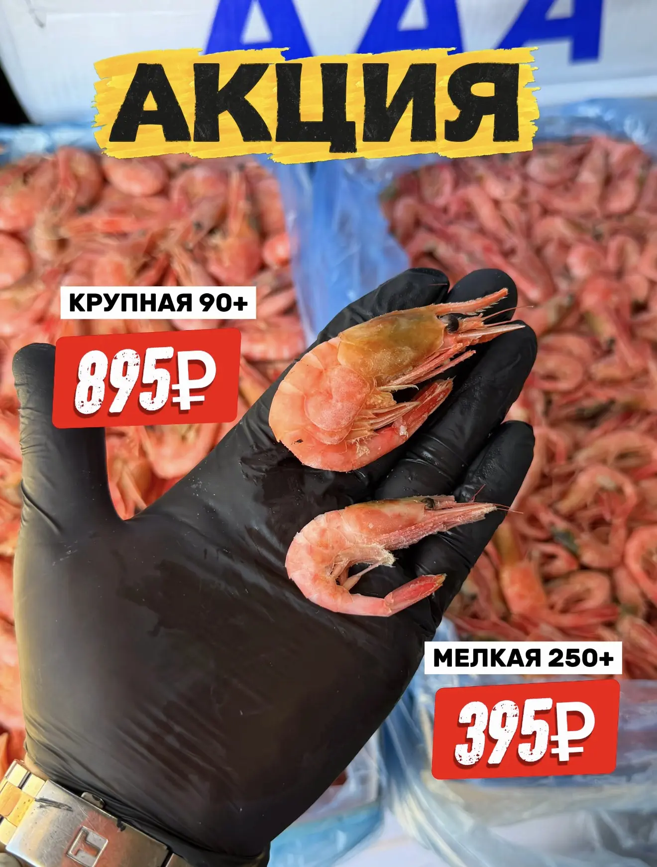 💥КРЕВЕТОЧНЫЙ БУМ💥
