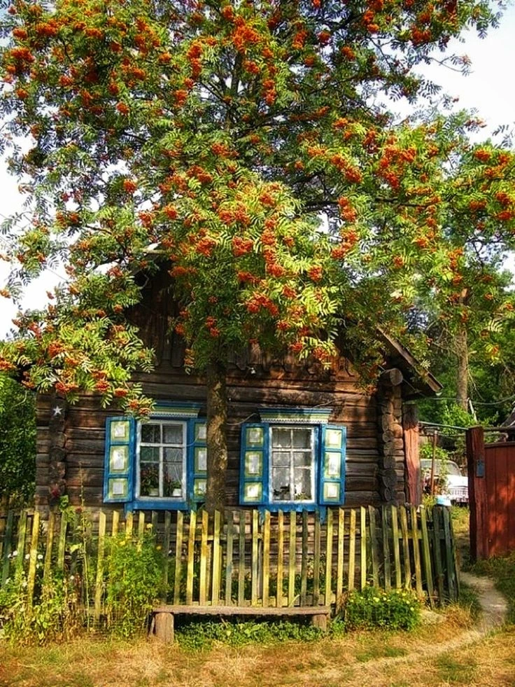 Есть в памяти такие уголки,