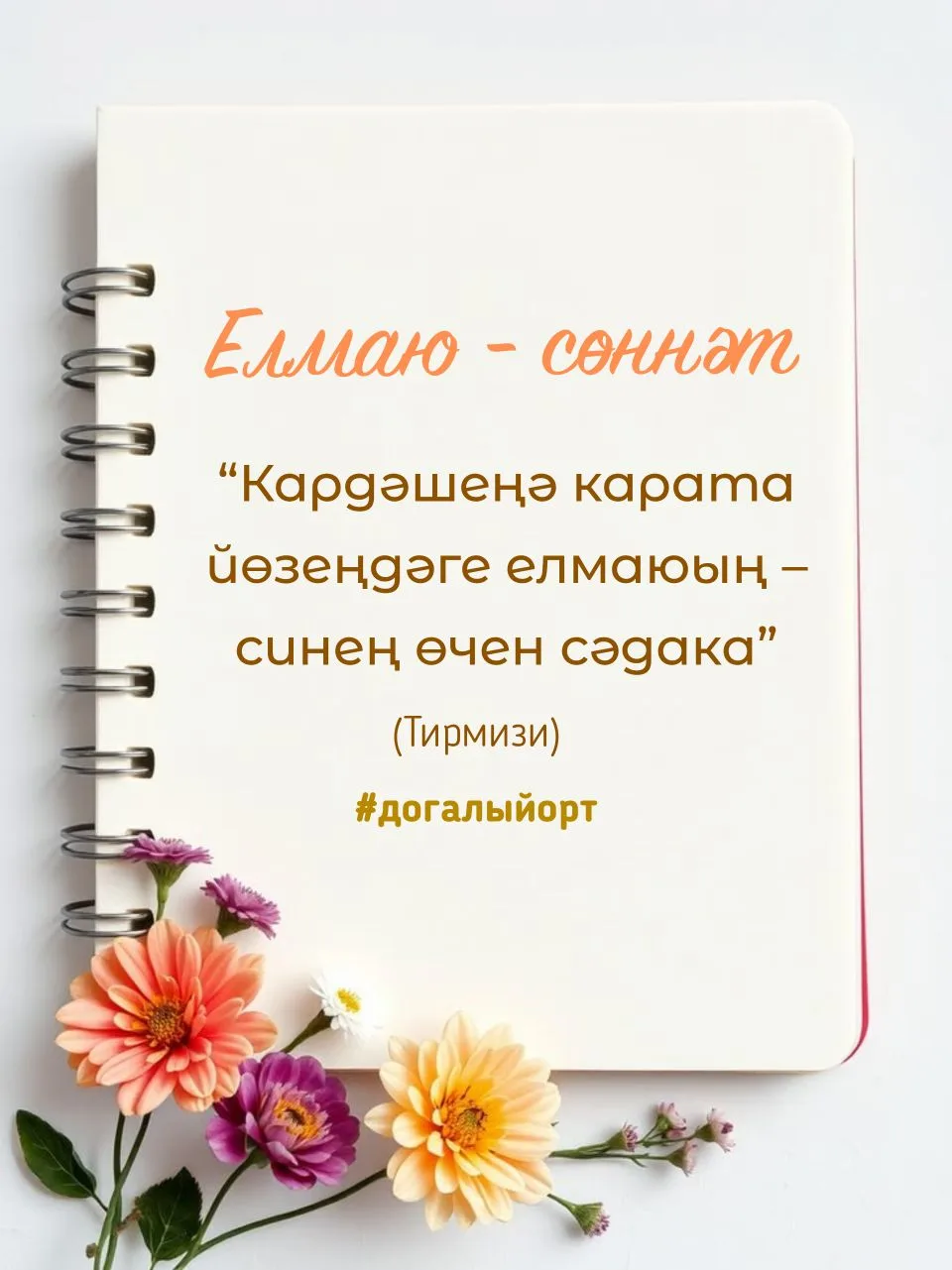Догалы йорт