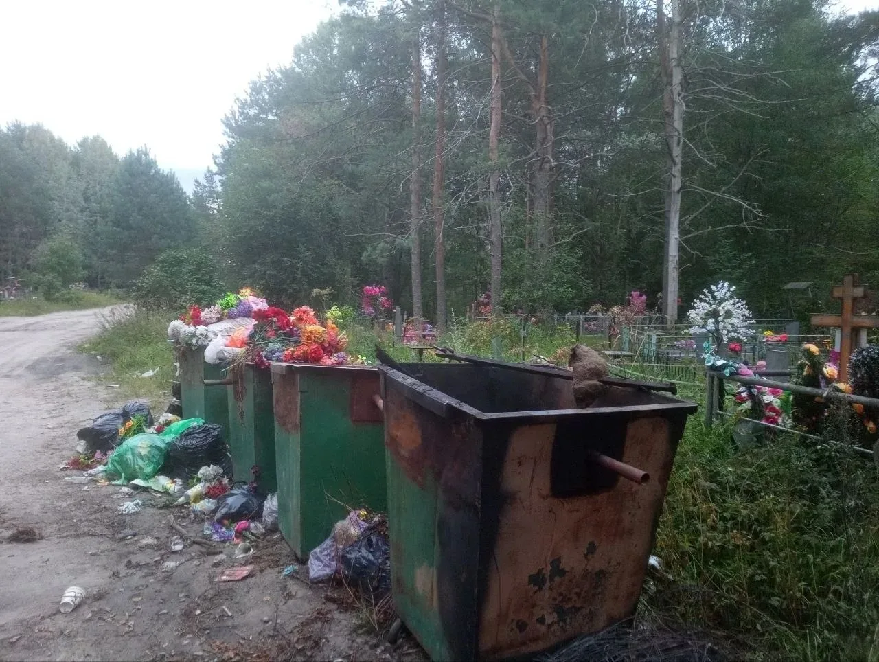 08.08.2026г. в 18ч.16 мин. через систему 112, на ЦППС ПЧ-50 г.Пудожа, по телефону посту...