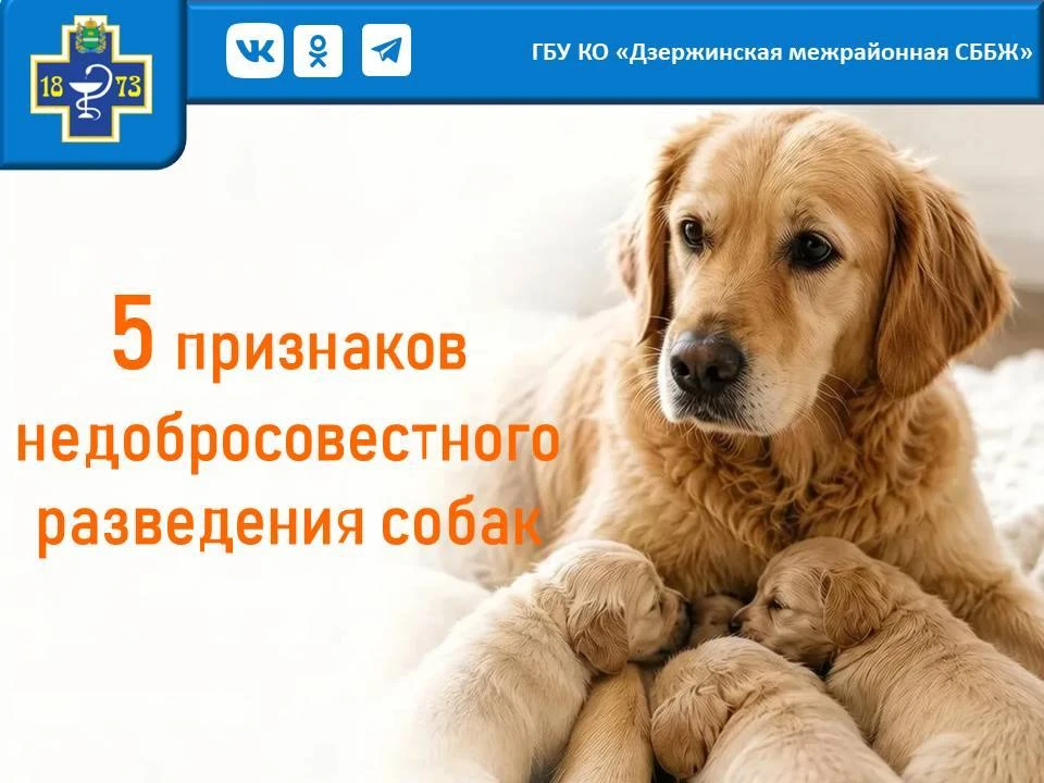 Изменён
