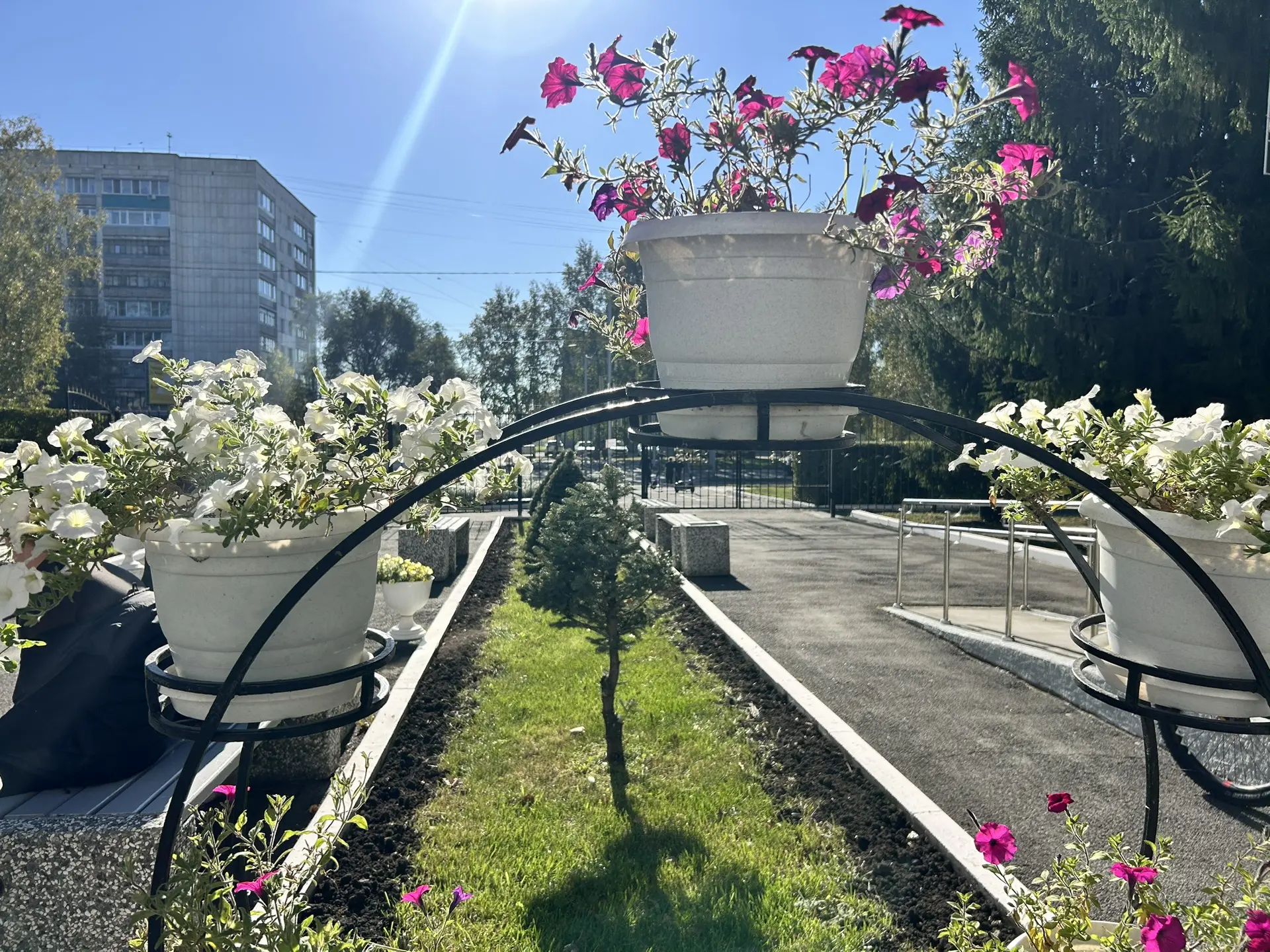Доброе утро!☀️