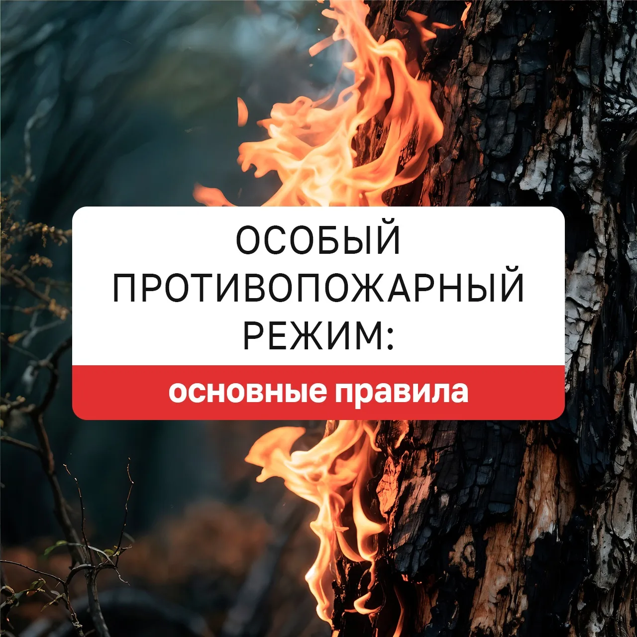 🔥В Удмуртии ввели особый противопожарный режим!  Теперь на всей территории республики действуют допо