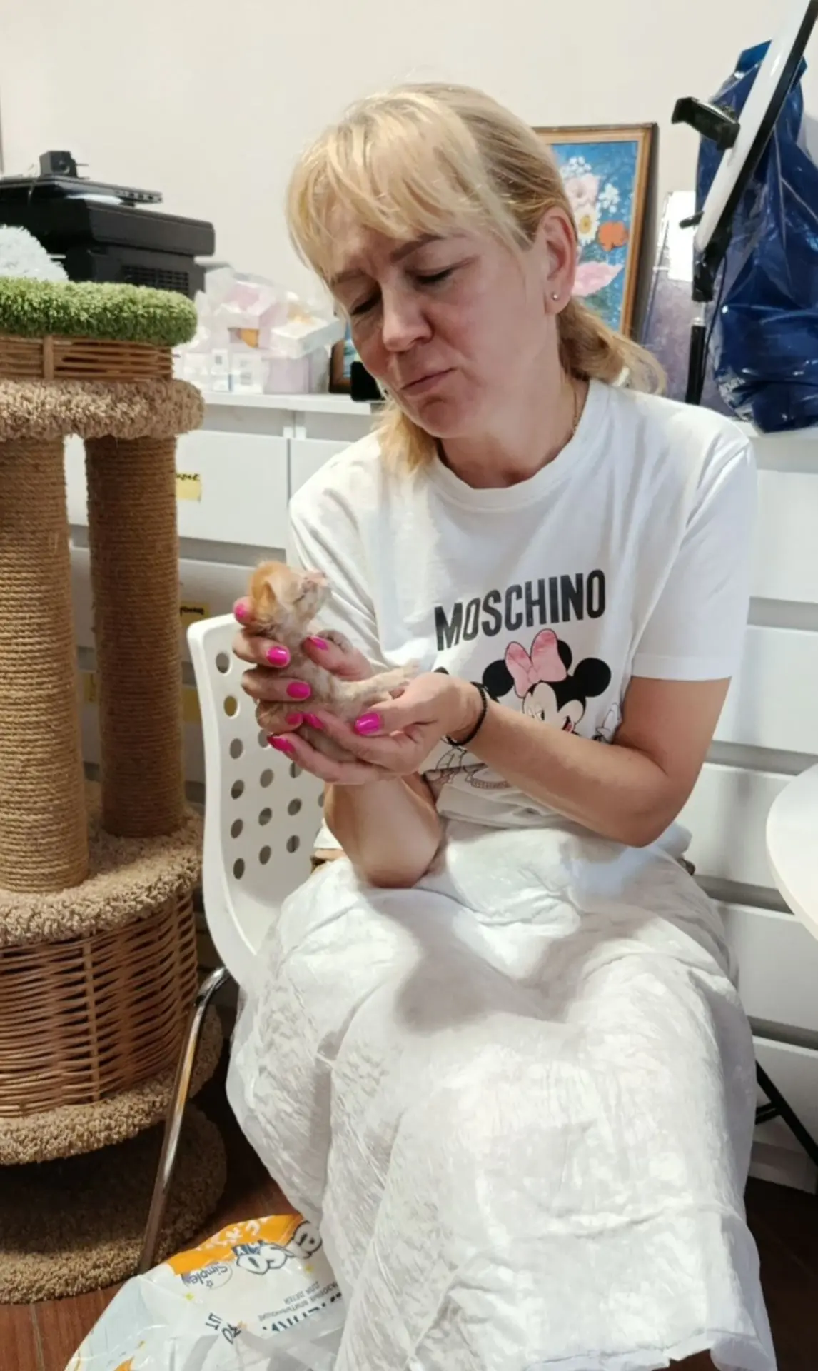 Нам очень нужны волонтеры в Донецке для ухода за крохами-котятами. В любые дни, в любое время. Сотру