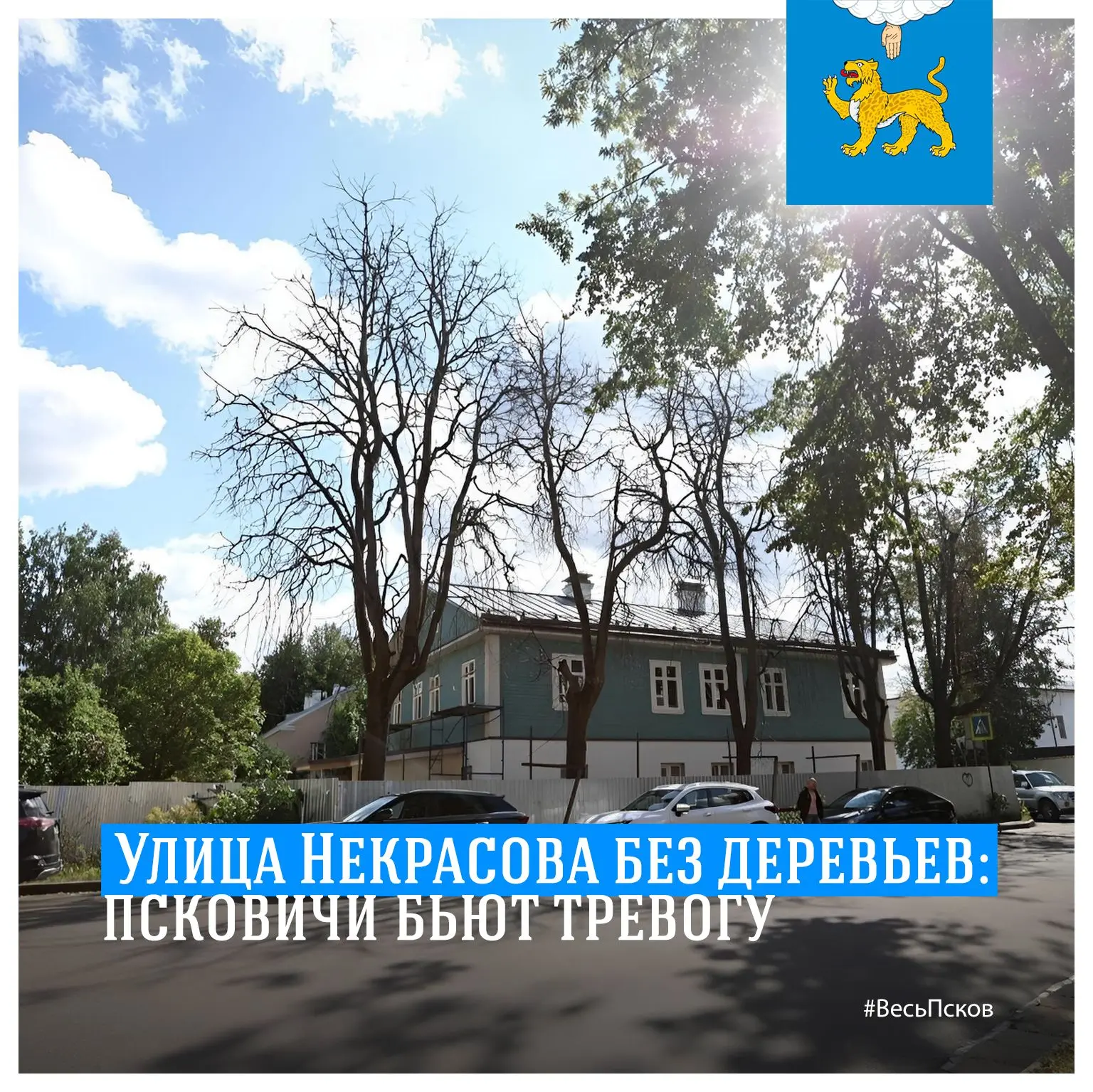 ❗️ Улица Некрасова без деревьев: псковичи бьют тревогу