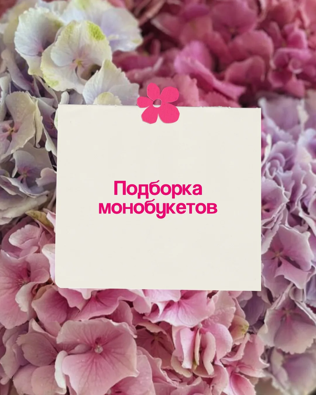 Монобукеты - это про стиль, элегантность и внимание к каждой детали🌿

Когда один цветок становится 