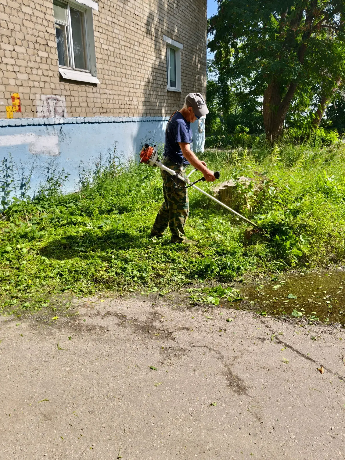 💚 Мы стараемся следить за состоянием газонов и проводим покос по графику, не допуская ...