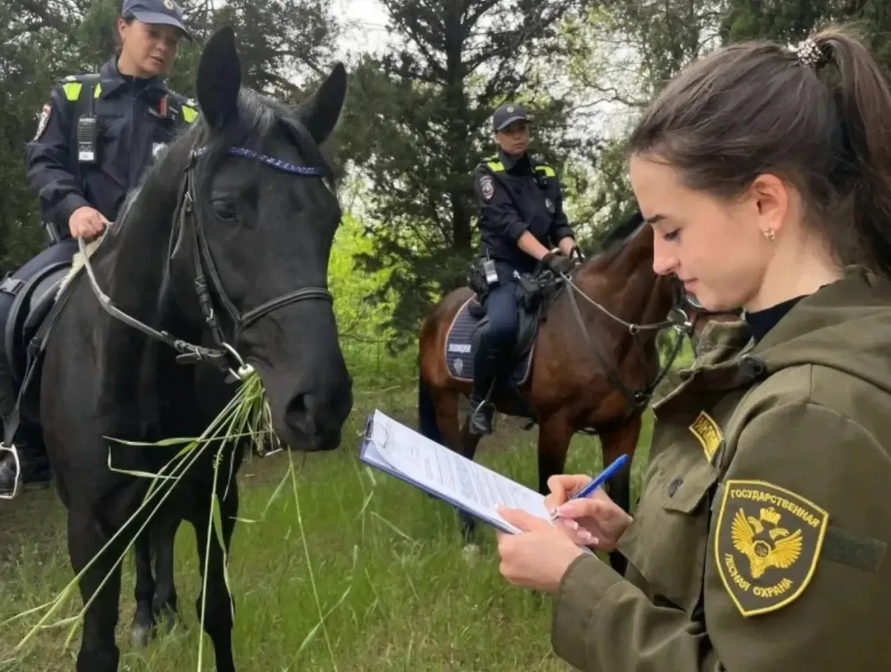 🔥 С 18 по 20 июня в лесах Севастополя действует четвёртый класс пожарной опасности

Сухая трава, жа