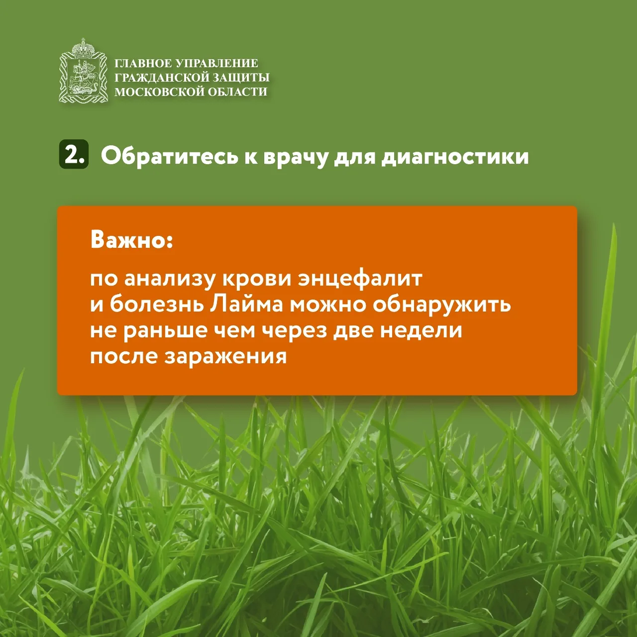 🌱 Май и июнь — пик активности клещей!  🦠 Клещи могут переносить опасные заболевания, такие как энцеф