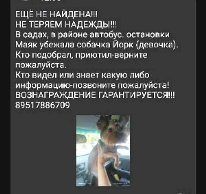 Пожалуйста помогите найти девочку 🙏