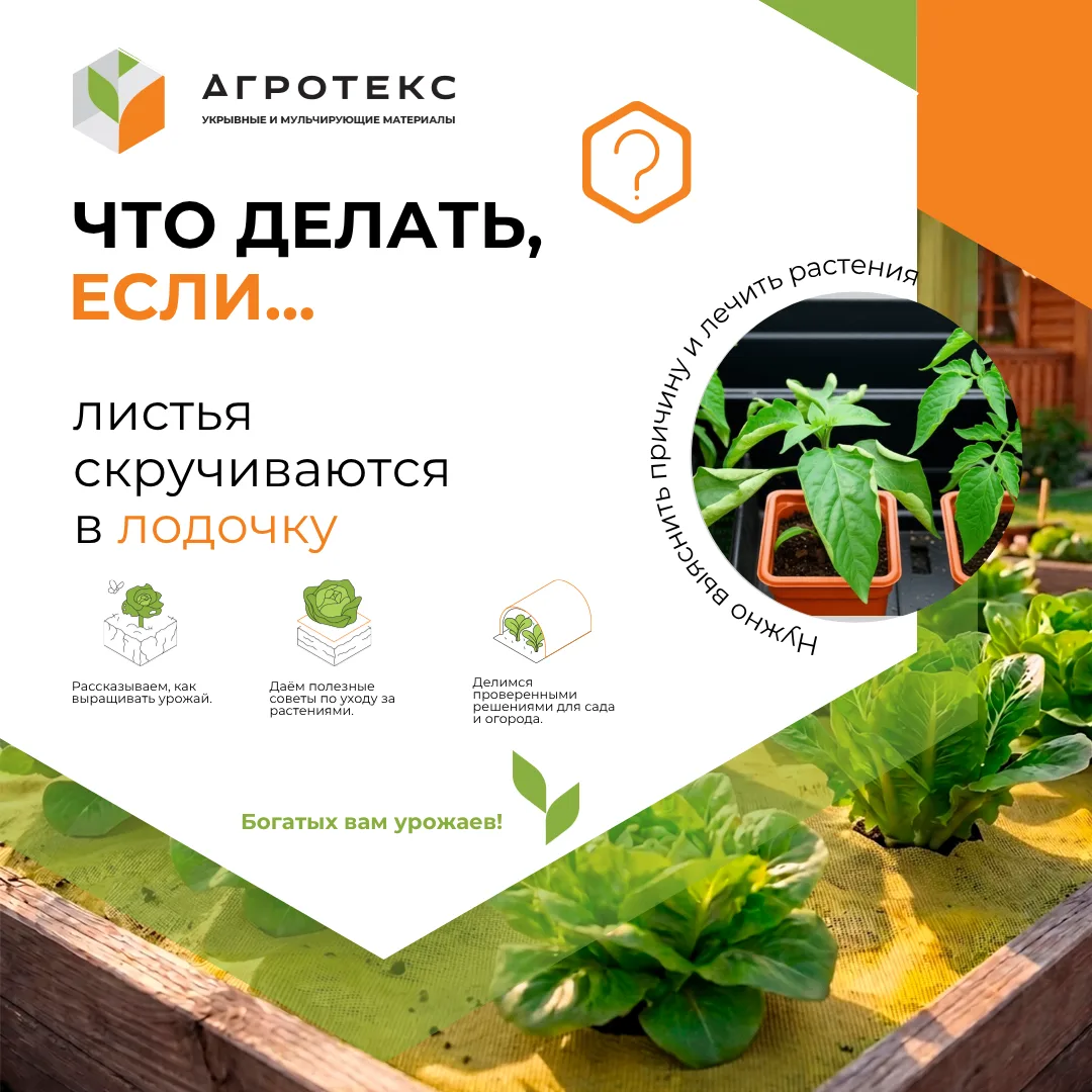 🌿 Осмотрите все листья, даже те, которые выглядят здоровыми. Скорее всего, вы найдёте вредителей, с