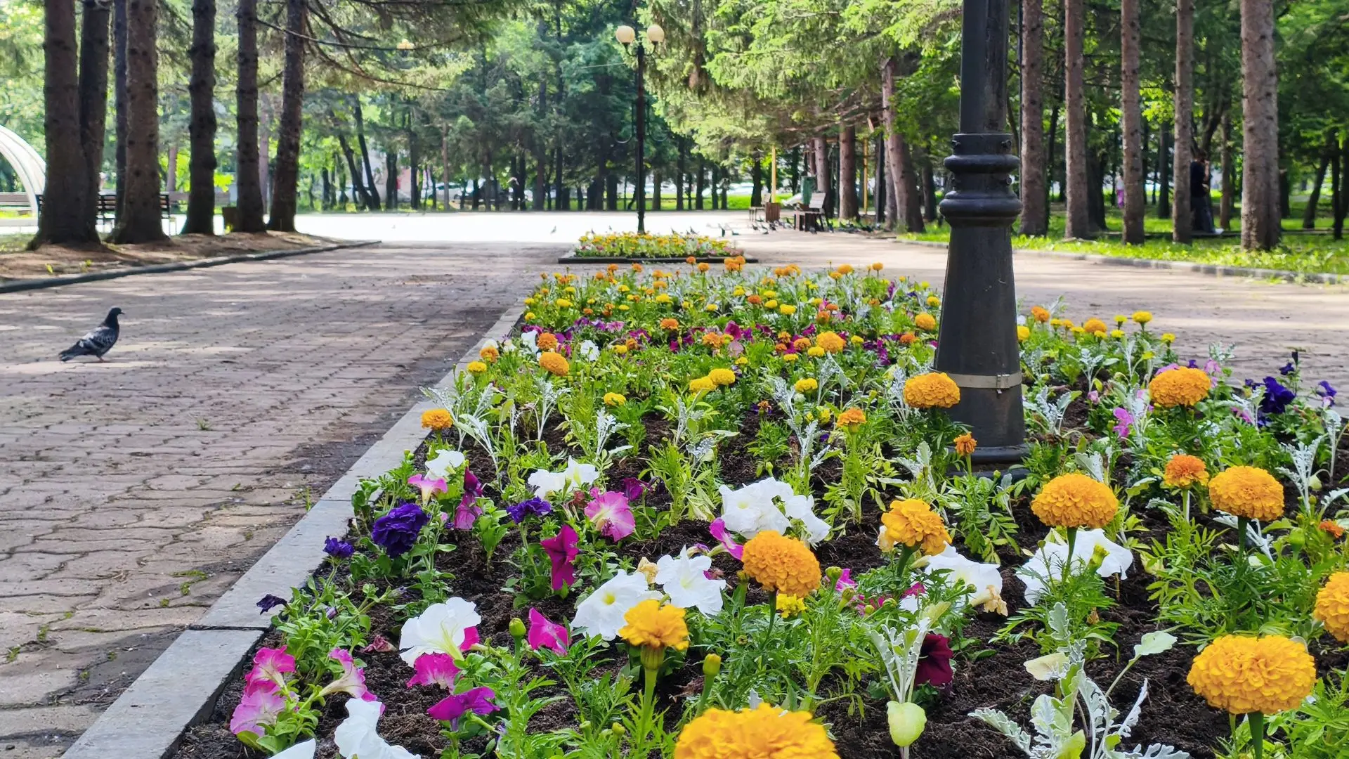 Озеленение и уборка Биробиджана продолжаются

📍 В ручном режиме идет уборка остановок и площадей об