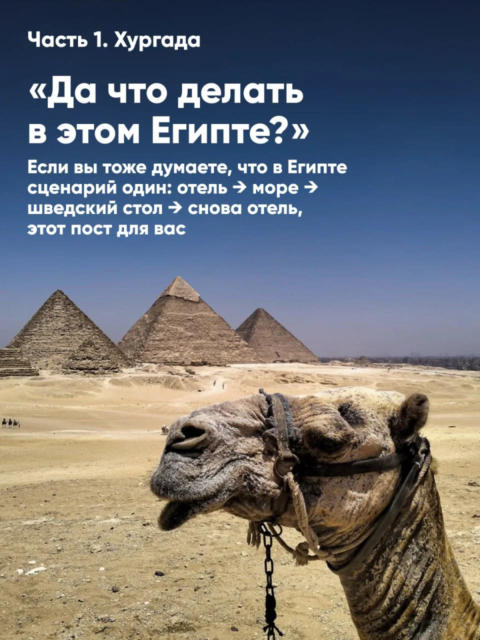 «Да что делать в этом Египте?»🤔