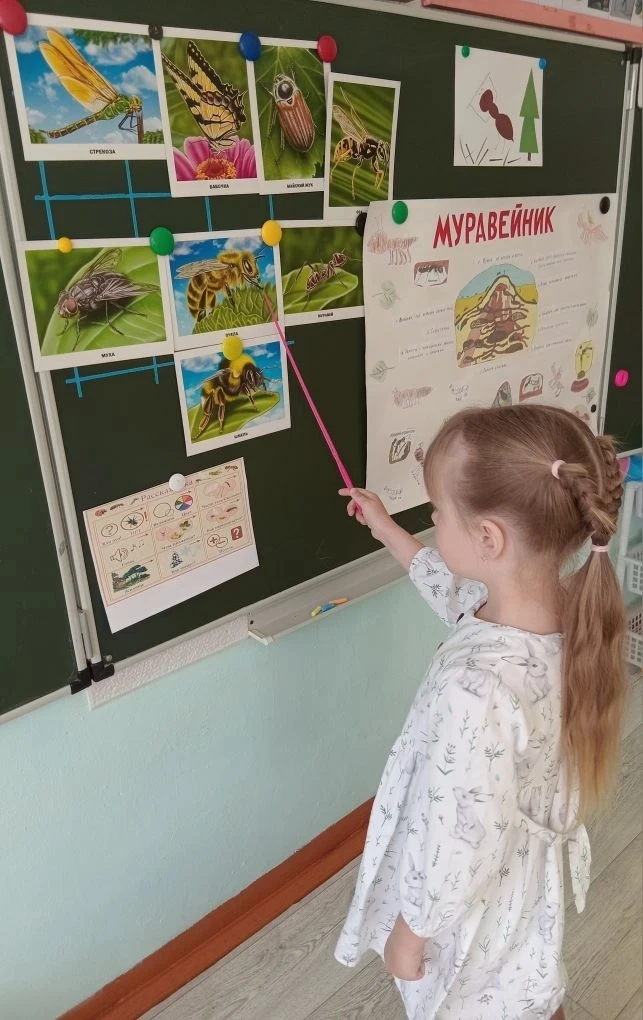 В старшей группе  прошла  тематическая неделя "Насекомые". Дети  познакомились  с много...