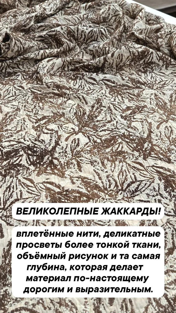 ВЕЛИКОЛЕПНЫЕ ЖАККАРДЫ!
