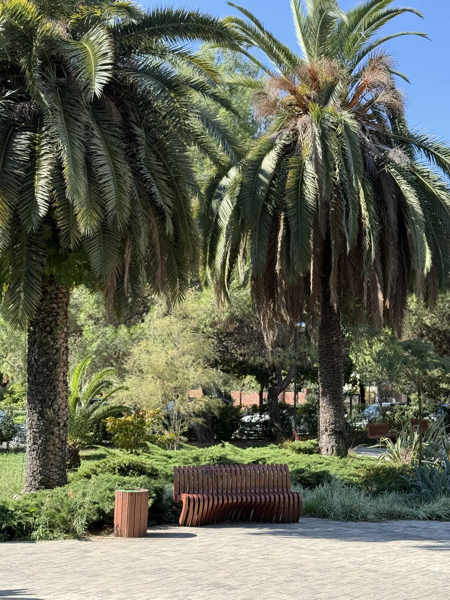 Октябрь балует теплом — пользуемся моментом 😎 🌴🌸