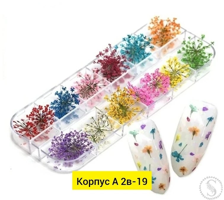 https://vk.com/photo-184814919_493529505