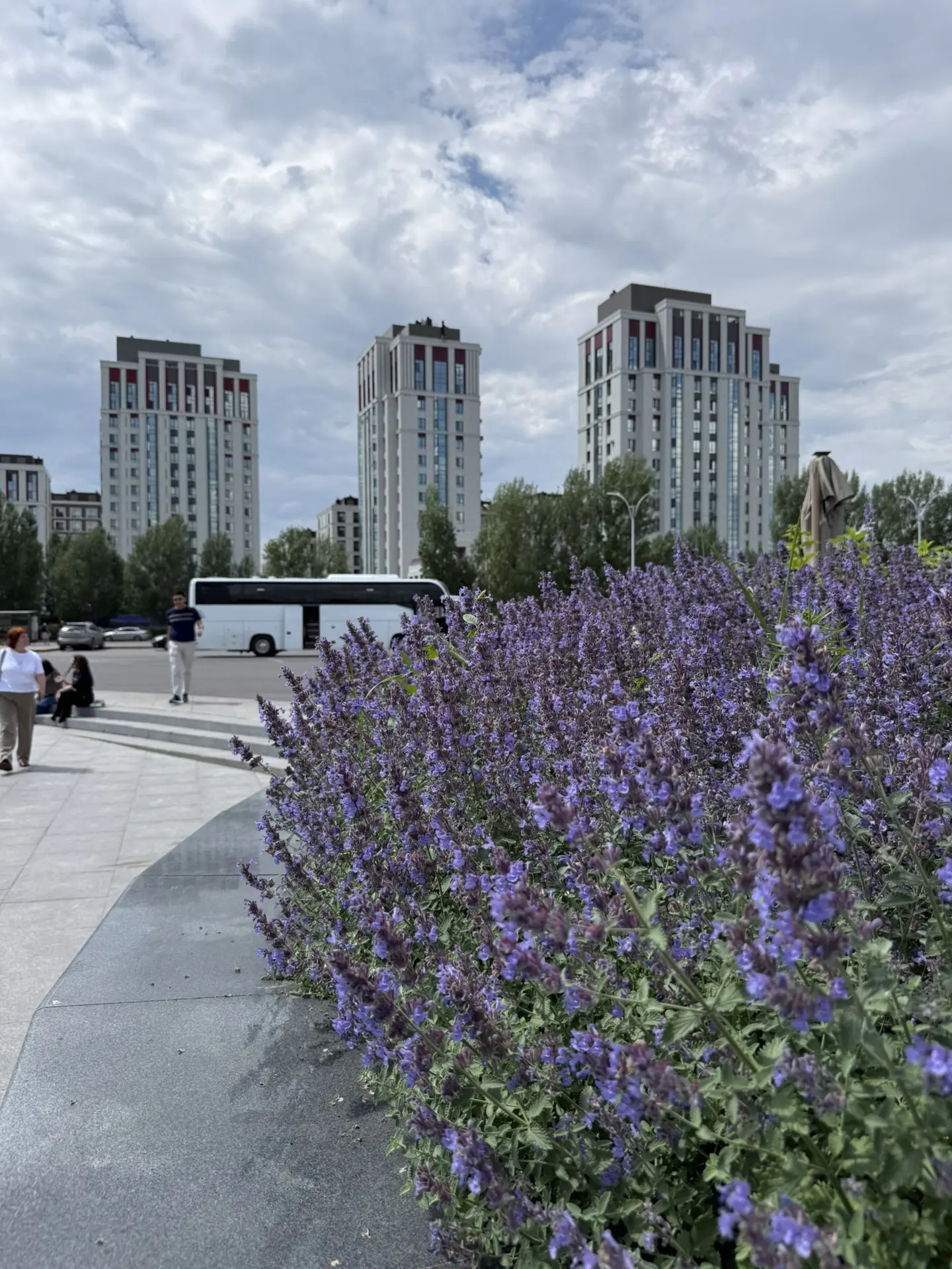 Зовём вас в туры июня 📆