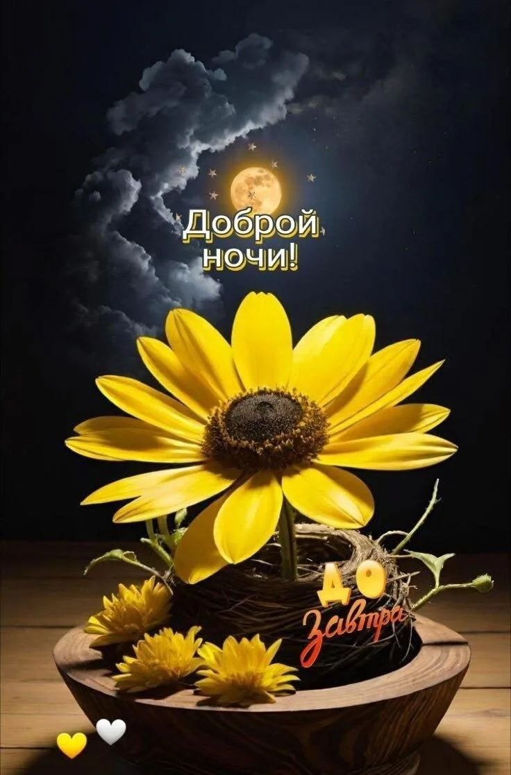🥰 Оставляйте реакции, если понравилась открытка и делитесь с близкими ❤️

Лучшие Открытки в MAX