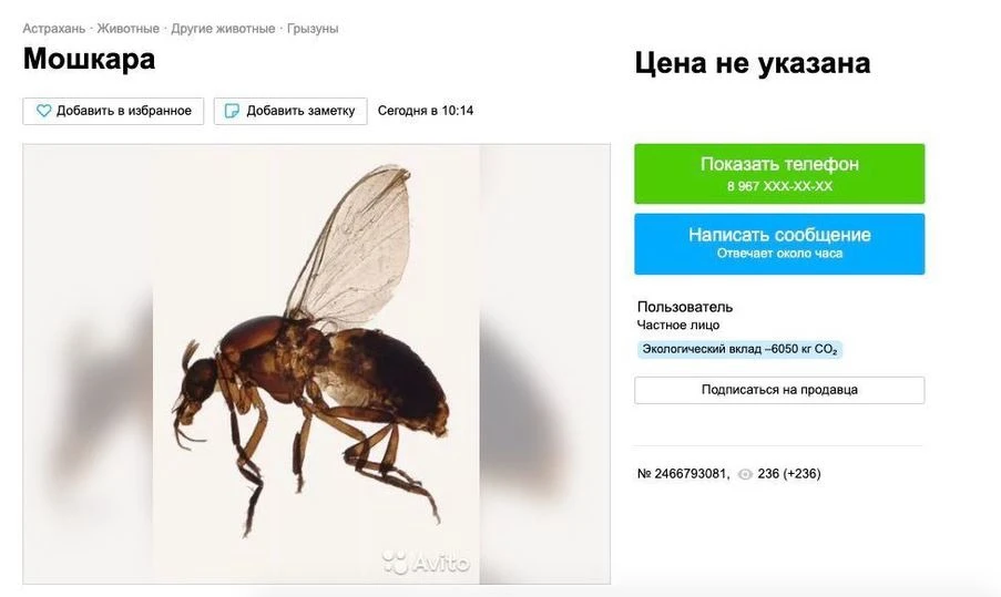 О да… Вы скучали?