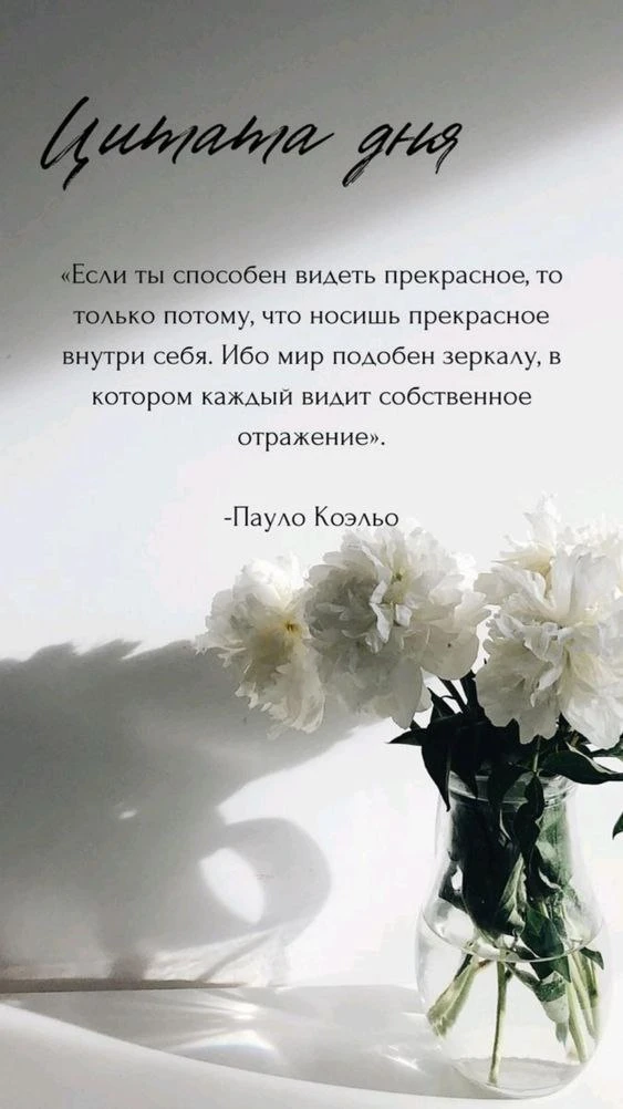 #цитатадня

Очень добрый канал