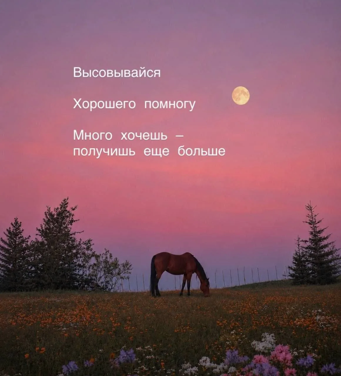 Мои девизы. А вы как?